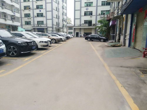 深圳坂田汽車站旁優質標準廠房出租，550平高標空間，滿足多樣化需求